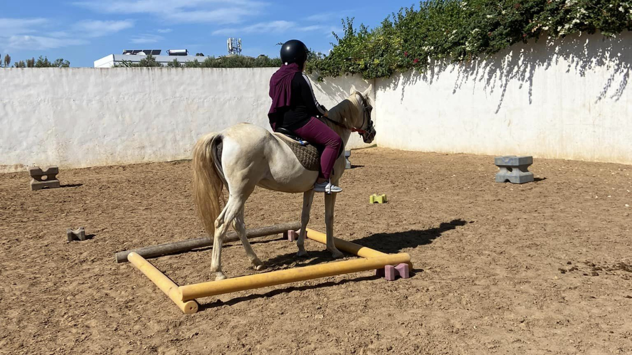 LES CAVALIERS DE GAMMARTH